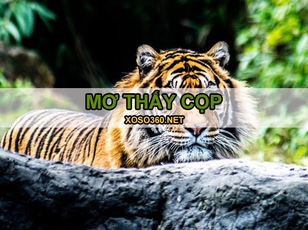 Con cọp số mấy, mơ thấy cọp là điềm gì, hên hay xui?