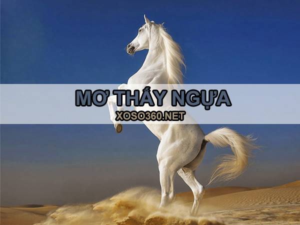 Con ngựa số mấy - Mơ thấy ngựa là điềm gì, hên hay xui?