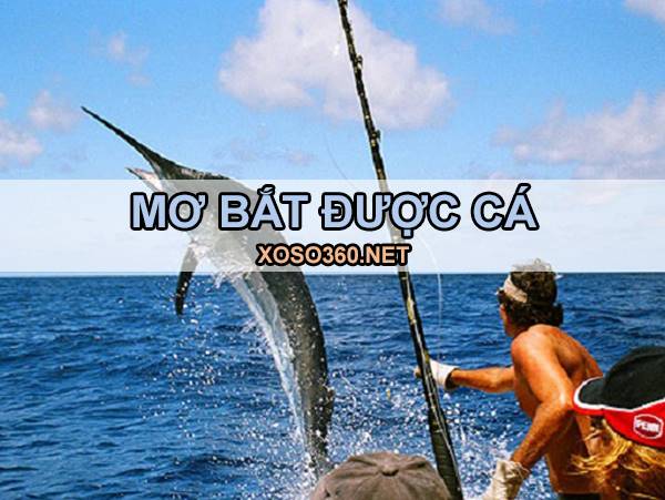 Mơ bắt được cá là điềm gì - Đánh con gì vào bờ an toàn?
