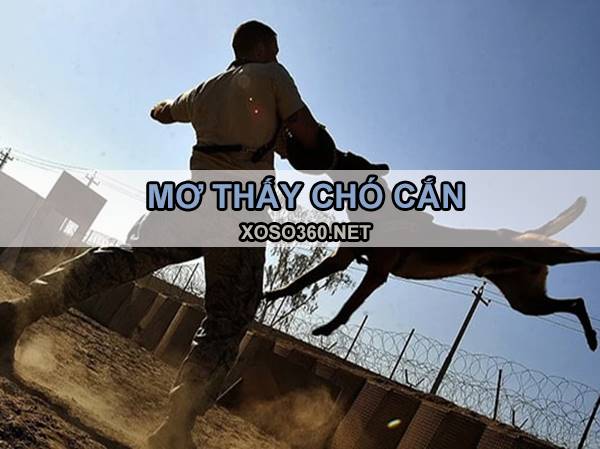 Mơ chó cắn đánh con gì giải xui - Ý nghĩa giấc mơ chó cắn?