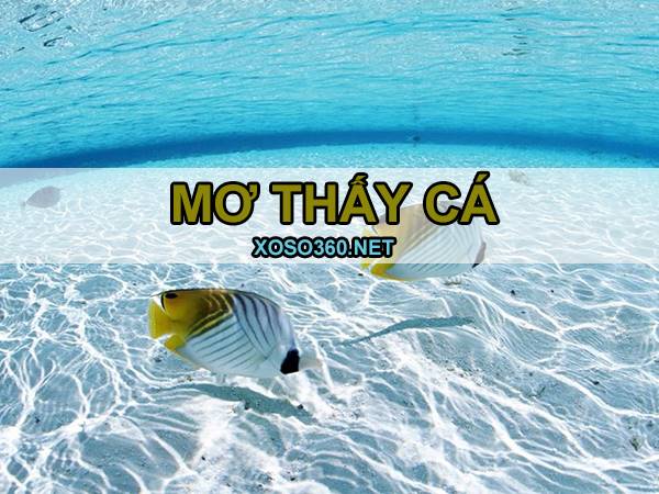 Mơ thấy cá đánh con gì giải xui cho bản thân, là điềm gì?