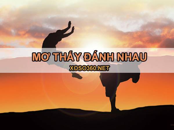Mơ thấy đánh nhau đánh con gì, là điềm dữ hay lành?