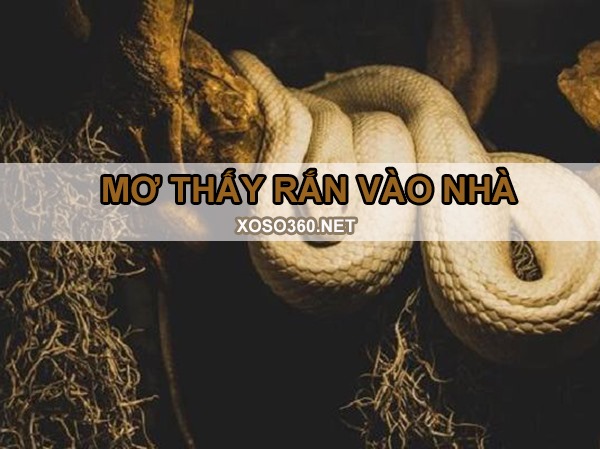 Rắn vào nhà đánh con gì giải xui ngay cho bản thân?