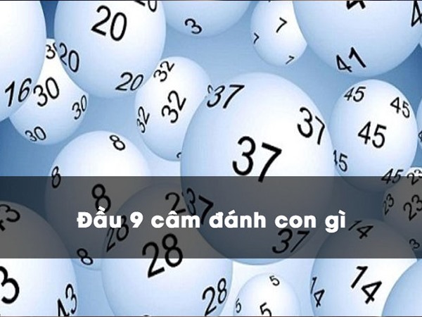 Đầu 9 câm đánh con gì nhanh chóng rước tài lộc vào nhà?