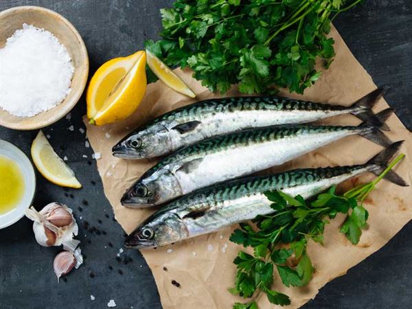 Mơ thấy cá thu lành hay xui đánh con gì đem lại vận may lớn?