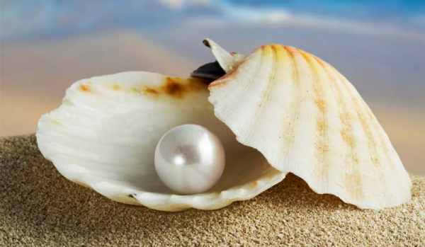 Nằm mơ thấy ngọc trai hé lộ vận may hay là họa lớn?