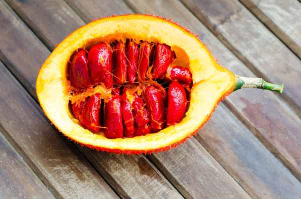 Mơ thấy quả gấc rụng đầy sân