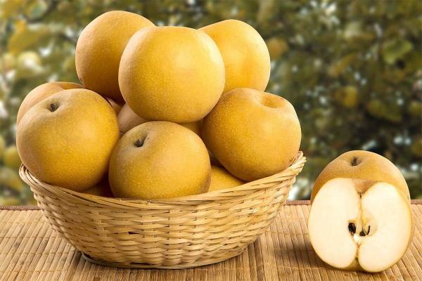Mơ thấy quả lê bị rơi xuống đất