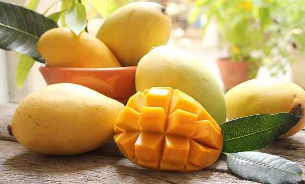 Nằm mơ thấy quả xoài có phải là điềm báo lộc tới?