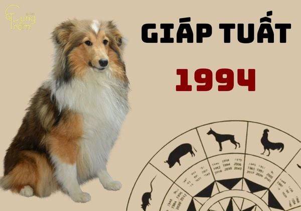 Vận trình tử vi tuổi Giáp Tuất ngày 20/9/2025