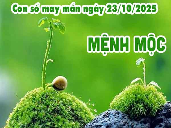 Cặp số tài lộc người mệnh Mộc ngày 23/10/2025 thứ 5 hôm nay