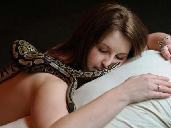 Mơ thấy rắn bò lên người mình