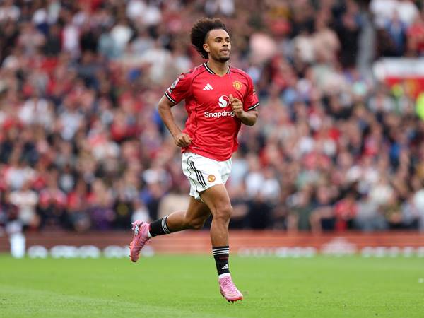 Zirkzee rời MU là quyết định hợp lý cho cả hai bên