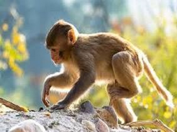 Tổng quan vận mệnh Nhâm Thân ngày 22/12