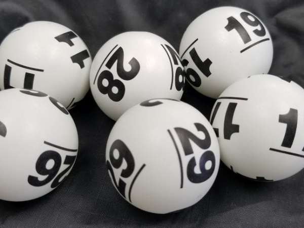 bộ đề 25 có những con gì