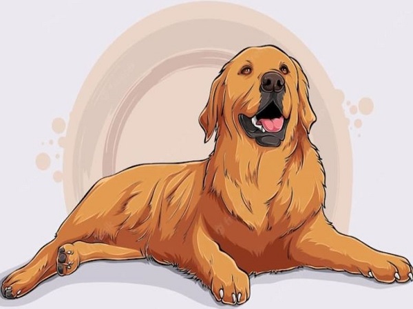 Tổng quan vận trình tuổi Tuất ngày 28/3/2026