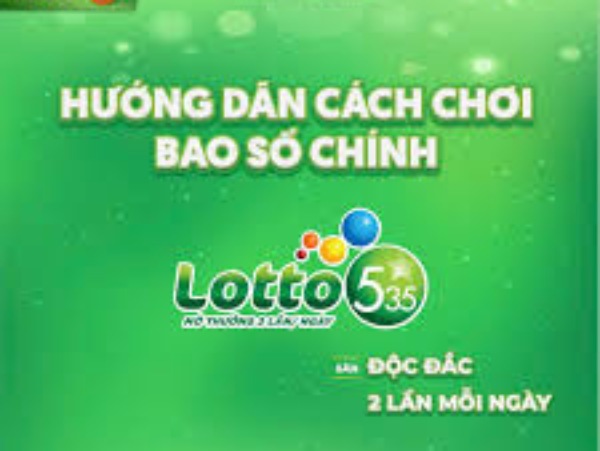 Các loại bao Vietlott 5/35 phổ biến Các loại bao Vietlott 5/35 phổ biến